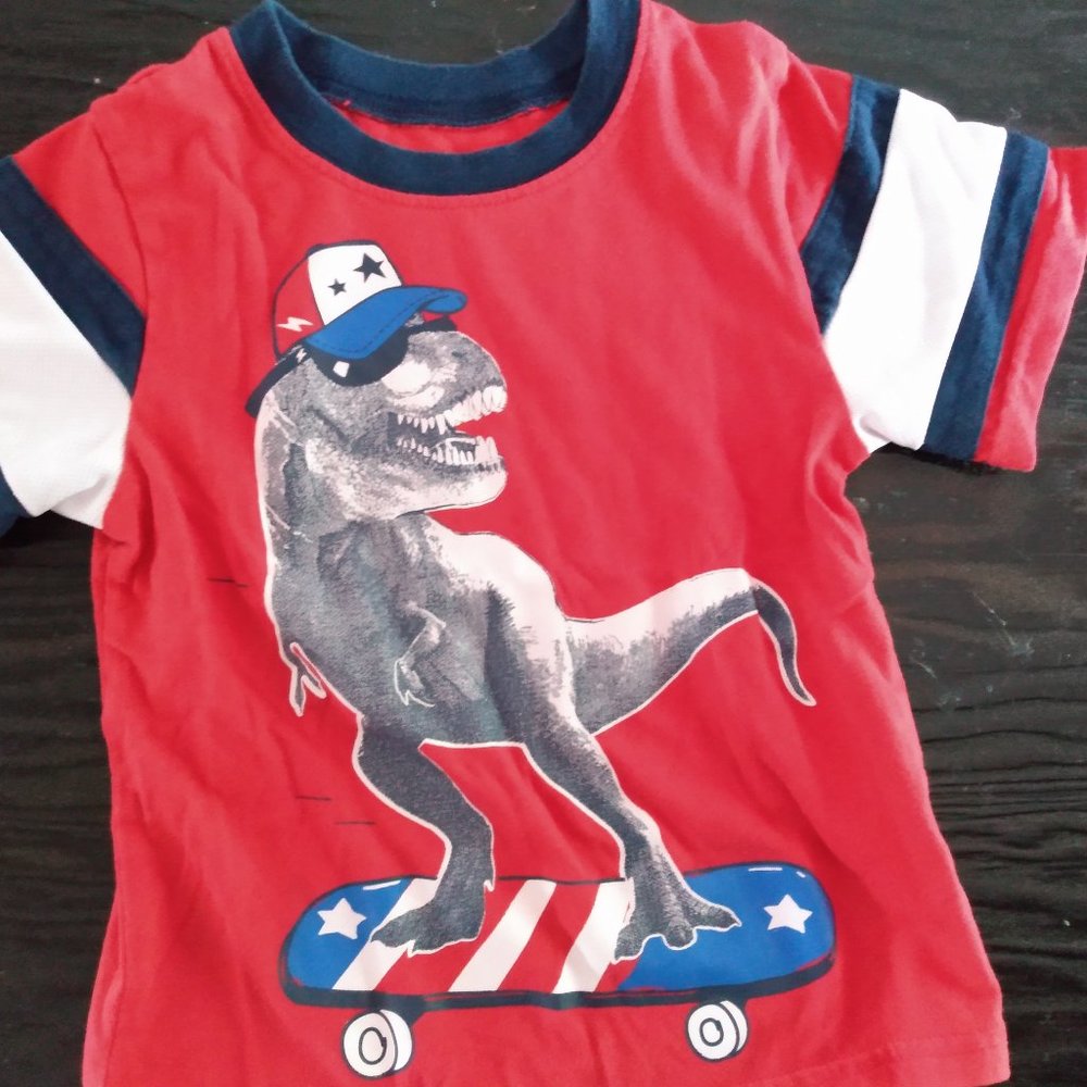 Boys patriotic dinosaur t-shirt size 4T pre-owned